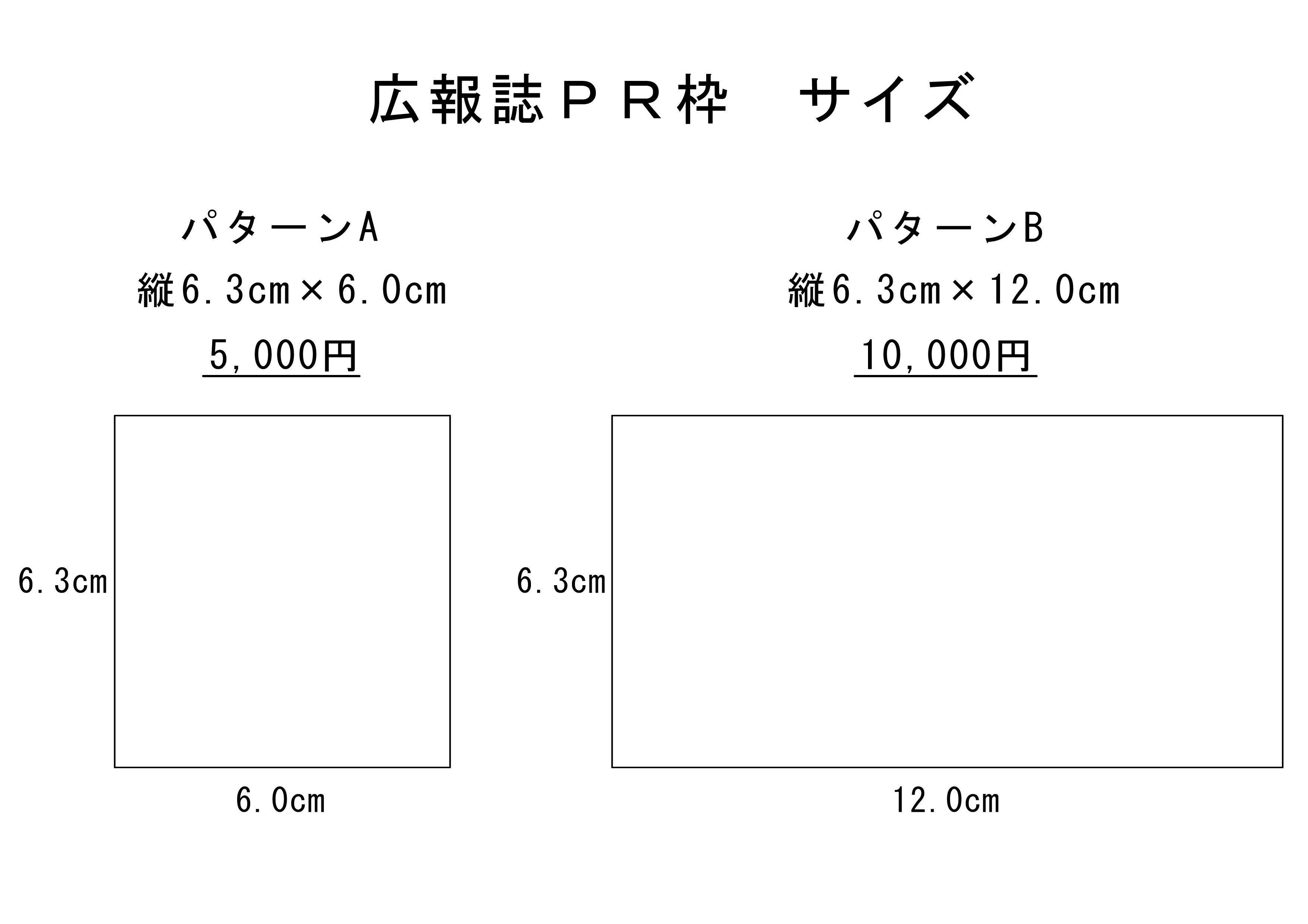 蒲原まつり 広報誌